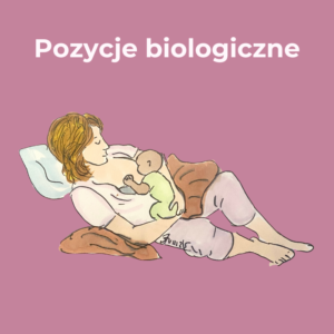 plakat laktacyjny - pozycje biologiczne